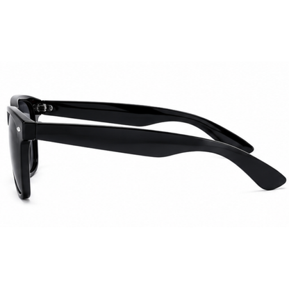Black acetate sunglasses with a classic wayfarer-inspired frame, shown from a side profile view against a plain white background.