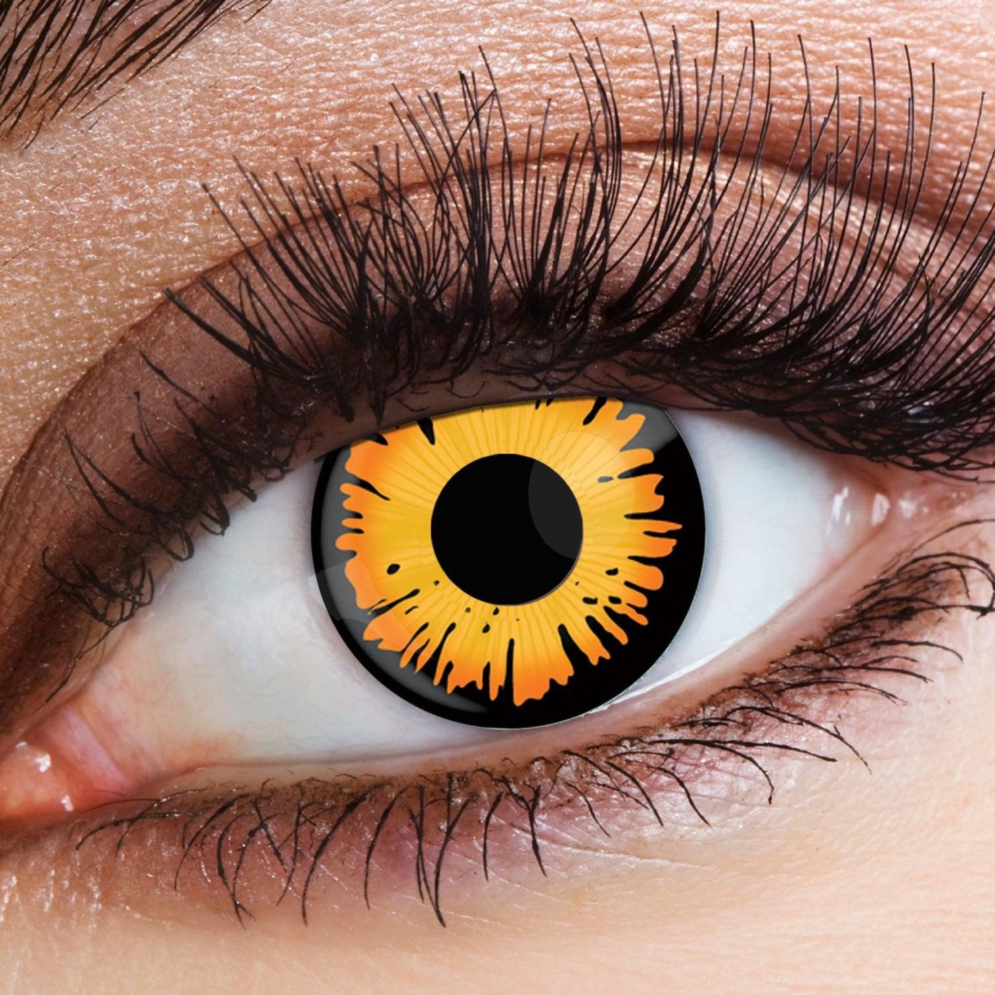 Contact Lenses - Bella