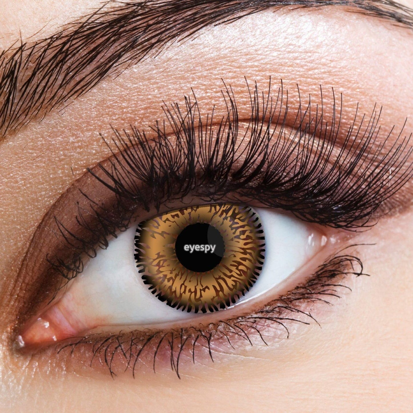 Contact Lenses - Honey