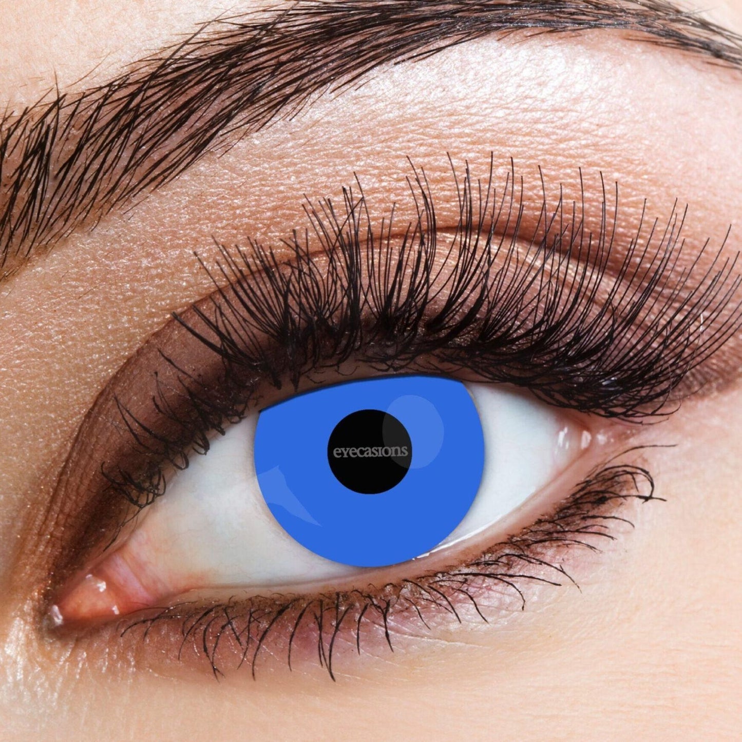 Contact Lenses - Jelly Fish