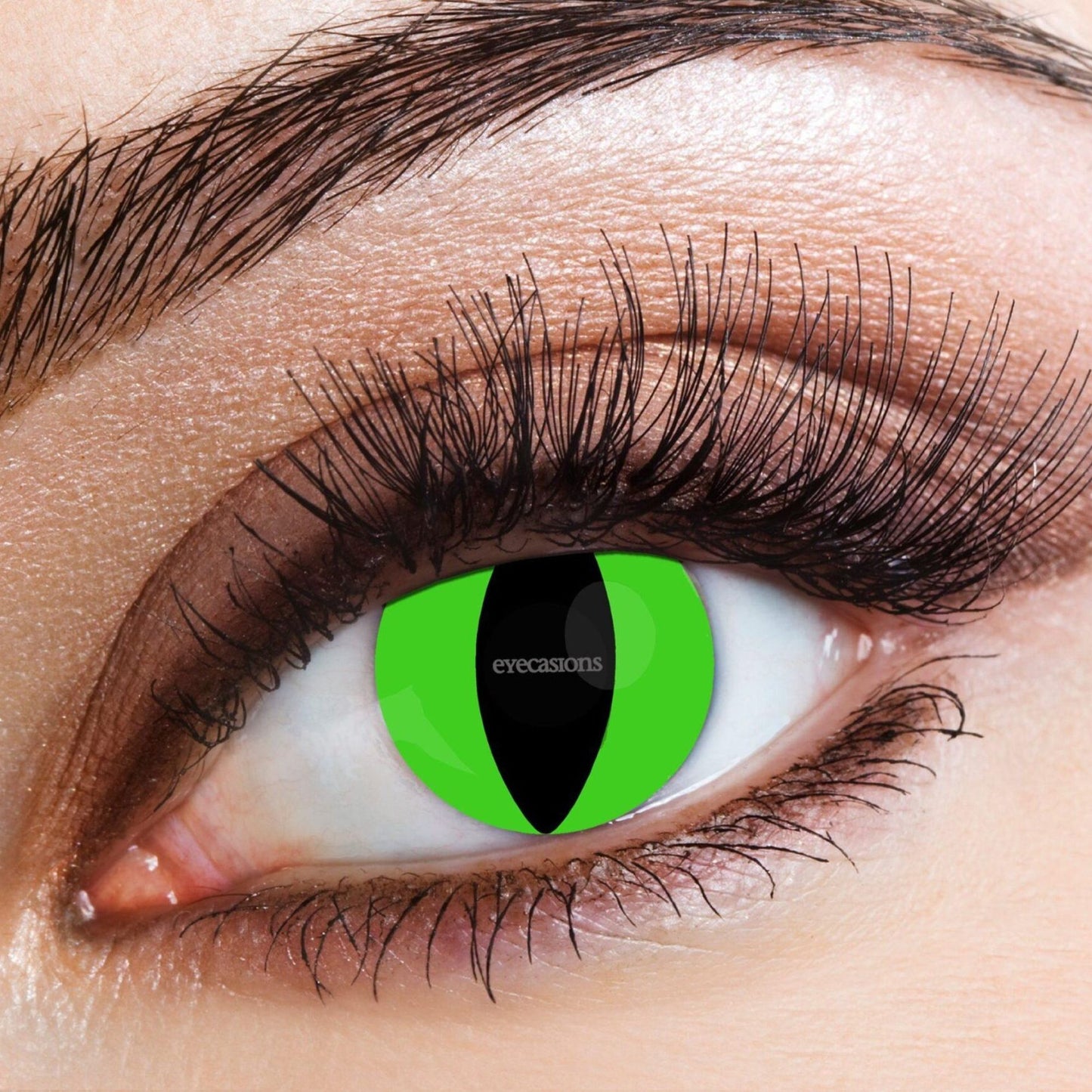 Contact Lenses - Raptor