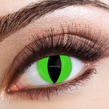 Contact Lenses - Raptor