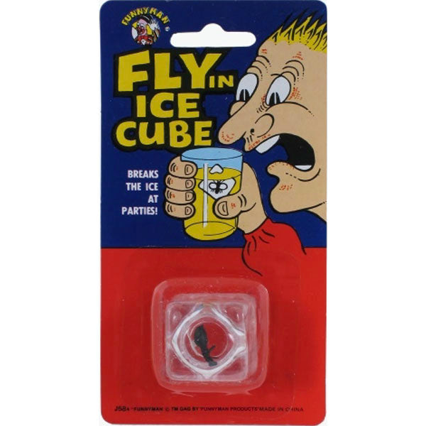 Fly In Ice Cube