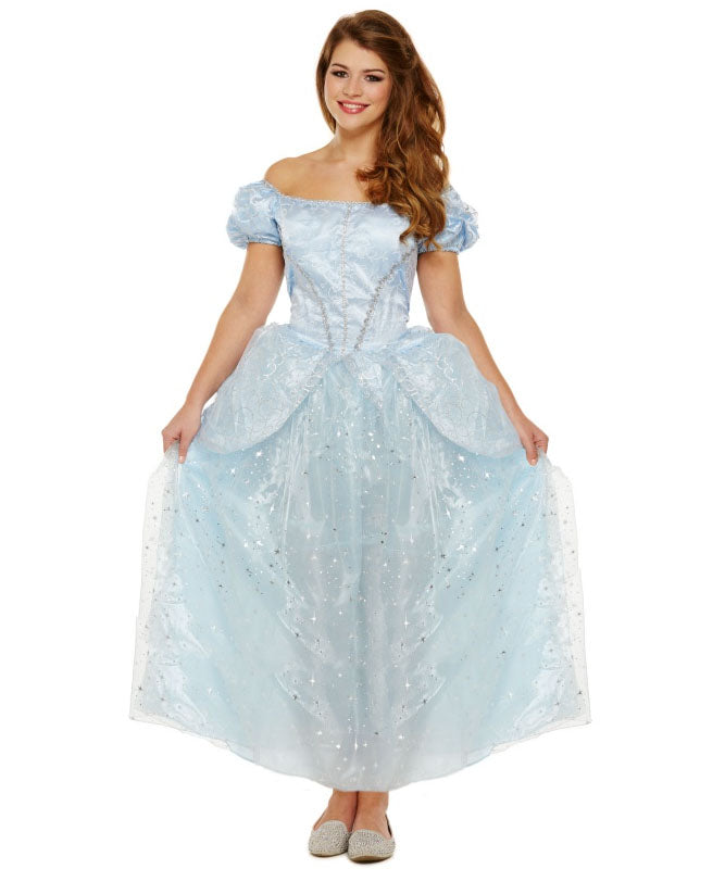 Lost Shoe Princess Costume