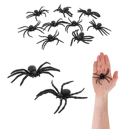 Spiders