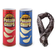 Potato Chips Snake Cone