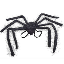 Spider Wings