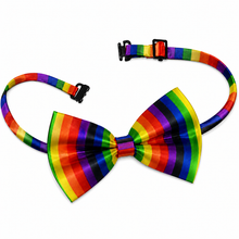 A rainbow-striped bow tie with a matching adjustable neck strap and black plastic buckle, shown on a plain white background.