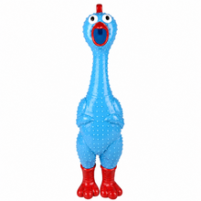 A blue rubber chicken toy with red feet, a red beak, and a red comb, standing against a plain white background.