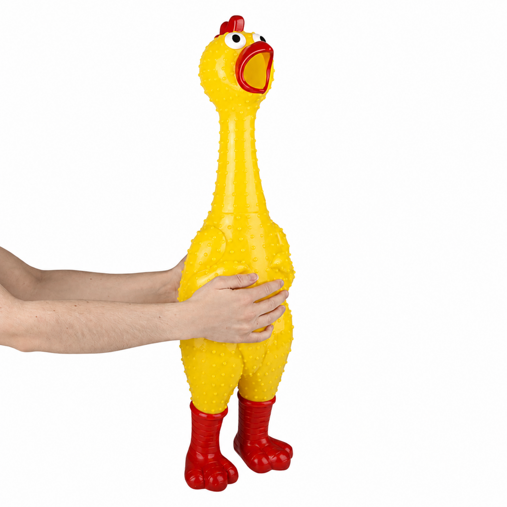 A yellow rubber chicken toy with red feet, red beak, and red comb, being held by a person's hands against a white background.