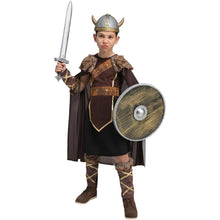 Kids Viking Sword & Shield