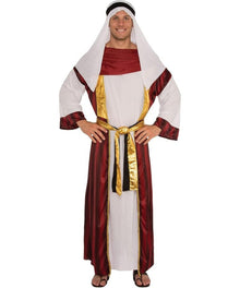 Royal Desert Prince Costume