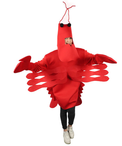 Lobster Costume