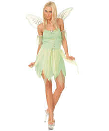 Neverland Fairy Costume