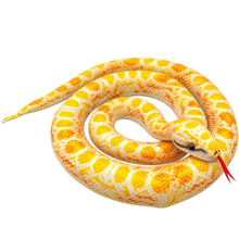 A coiled yellow and white patterned snake with a red tongue, isolated on a plain white background.