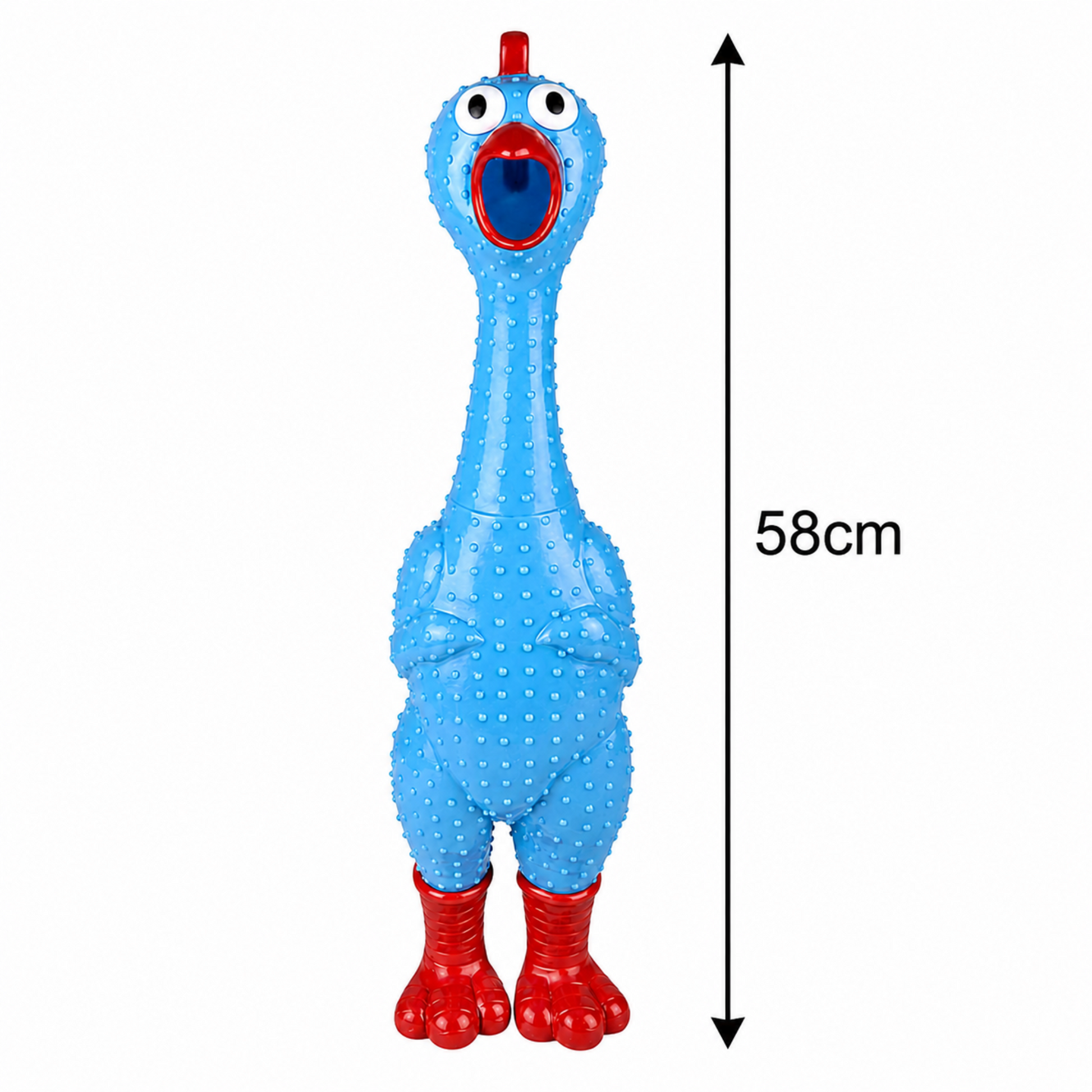 A blue rubber chicken toy with red feet, a red beak, and a red crown, shown on a white background with a height measurement arrow labeled 58cm.